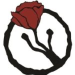 poppy brooch